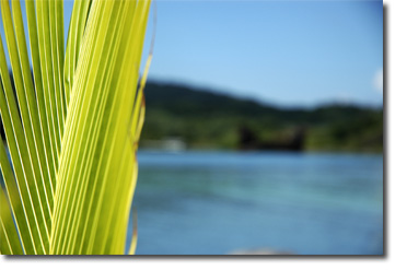 Picture of Window, Santa Fe, NM