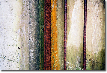 Picture of Here is a title for this image